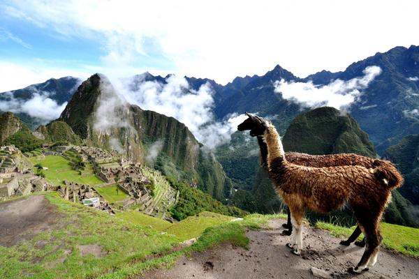 #meArm - Update! Now available in Peru!